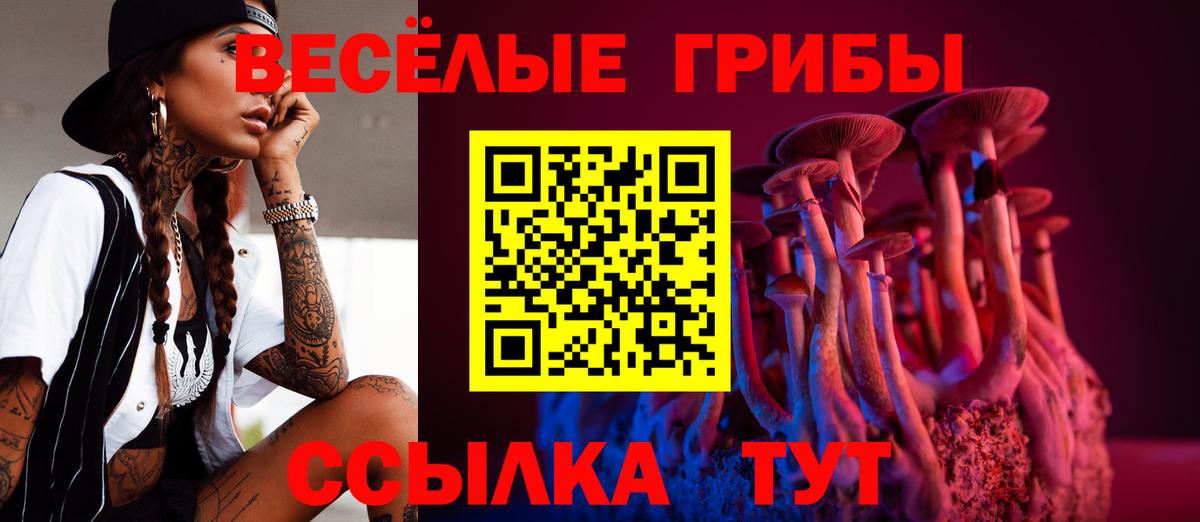 Галлюциногенные грибы GOLDEN TEACHER  Вход с VPN  Галлюциногенные грибы мухоморы  Выкса 